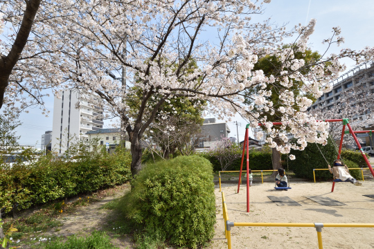 刈谷市東陽公園のブランコと桜