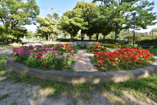 安城市安城公園の花壇