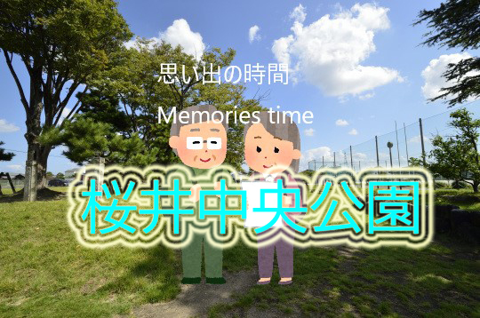 思い出の時間が蘇る 桜井中央公園 安城市 桜コンサルタントの桜コラム