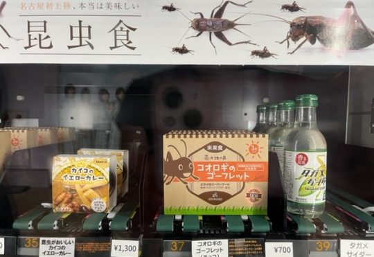 名古屋大須昆虫食自販機