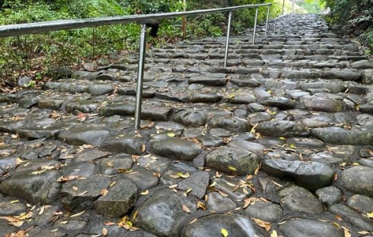 掛川市龍尾神社の石階段