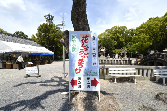 知立市はなしょうぶまつり