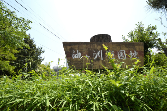 碧南市　油ヶ淵公園