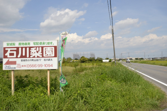 安城市梨販売　石川梨園　看板