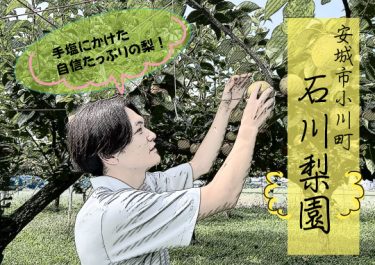 安城市梨直売所（石川梨園）